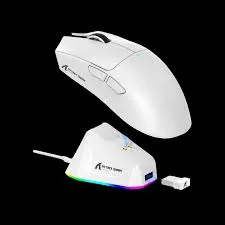 images (8).webp