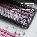 5_d6651eb3-5783-4ec1-add9-6703778d3989.webp